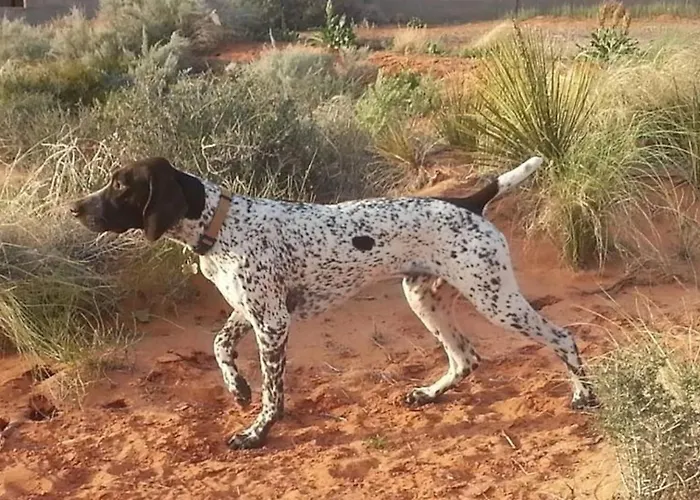 Antelopecanyonhouse W View Offering Deals For One Couples Pets Okay Holiday home Page