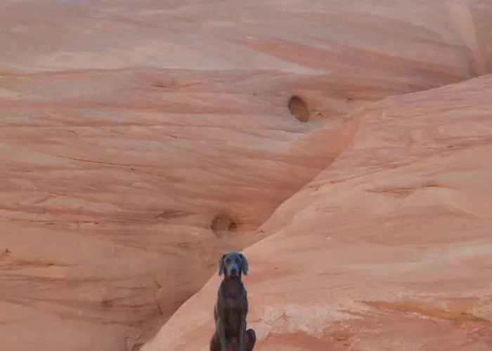Antelopecanyonhouse W View Offering Deals For One Couples Pets Okay Holiday home *